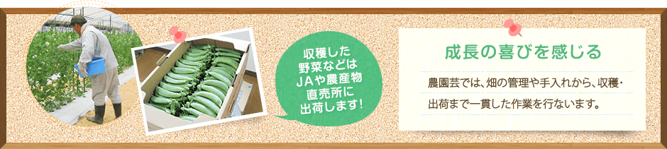 成長の喜びを感じる 農園芸では、畑の管理や手入れから、収穫・出荷まで一貫した作業を行ないます。